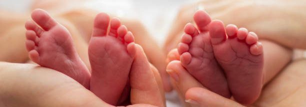 Accepting Newborns!